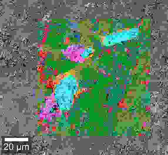 Raman-SEM diorite
